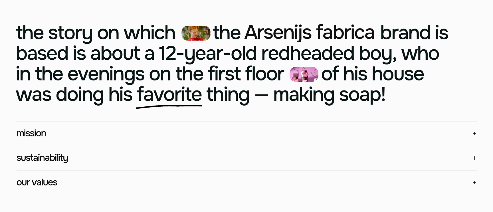 Imagine a proiectului Dezvoltare Arsenijs Fabrica